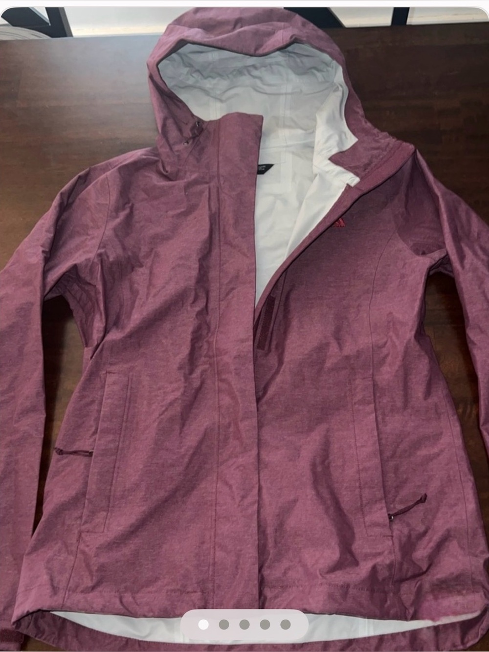 The North Face Plum Waterproof Hardshell Ski Snow Rain Jacket